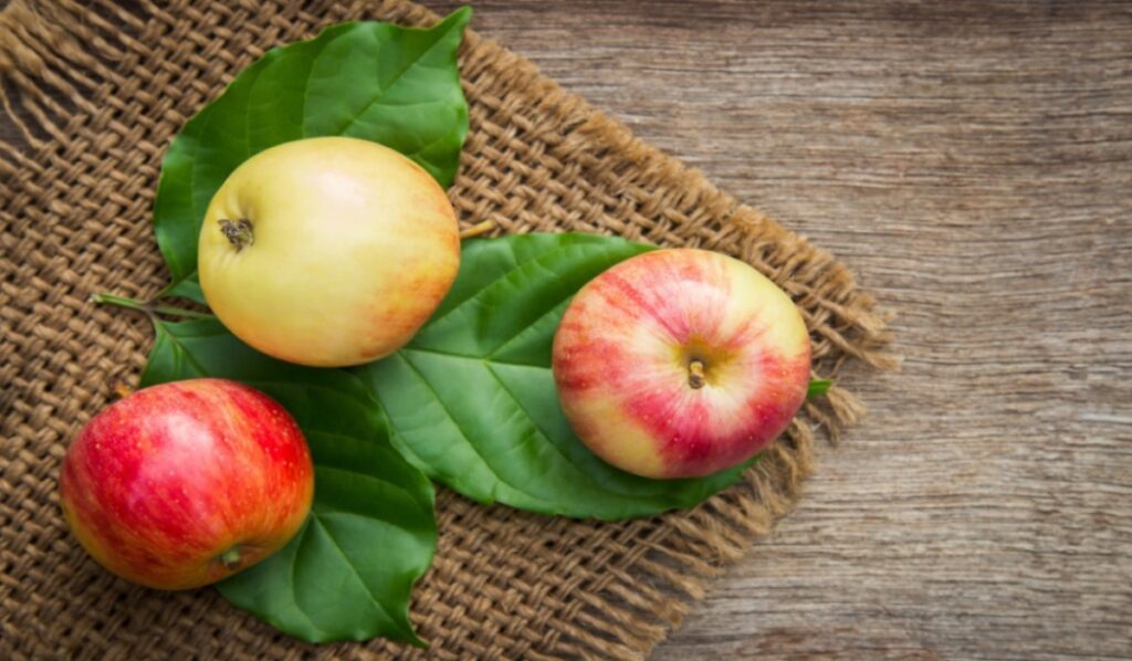 apple: fruit to eat after workout
